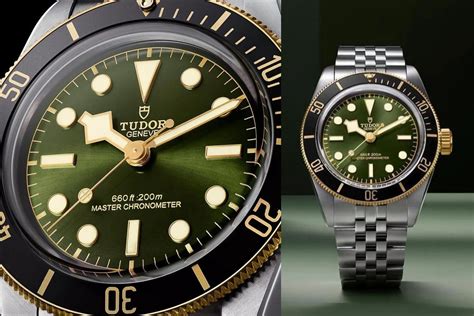 tudor harrids